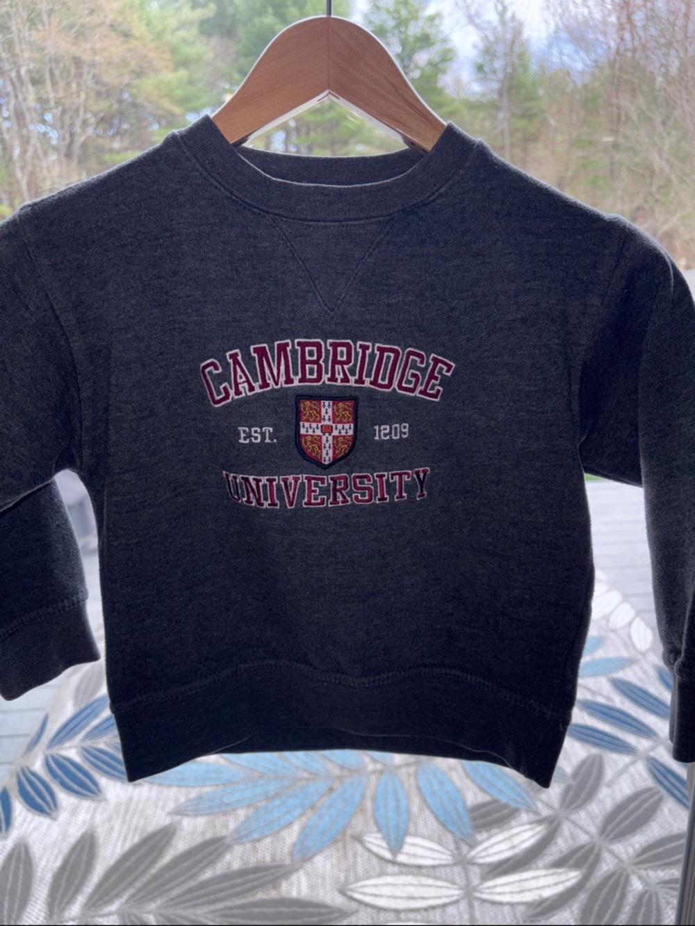 🏴󠁧󠁢󠁥󠁮󠁧󠁿 Cambridge University Grey Kids Crewneck Sweatshirt - England. Alumni.